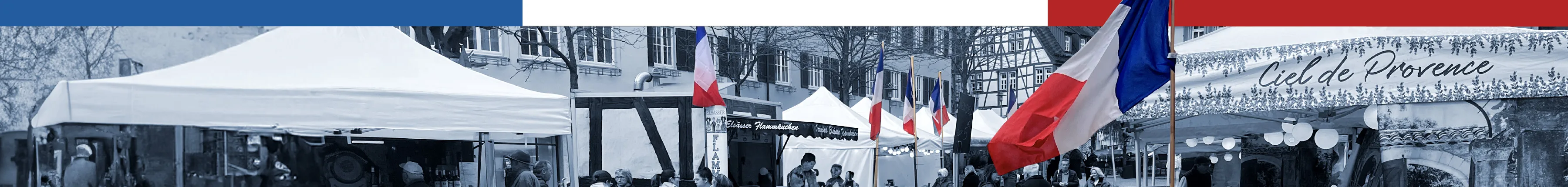 header.jpg